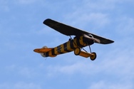 fokkerd8329