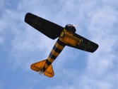fokkerd8331