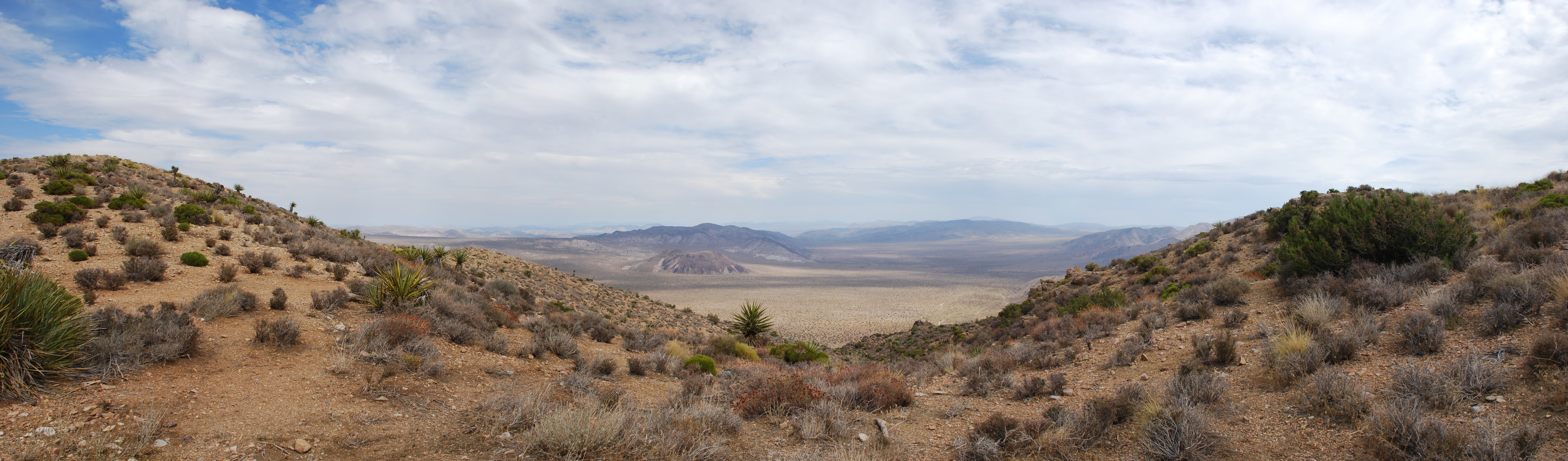 Joshua Tree N.P.